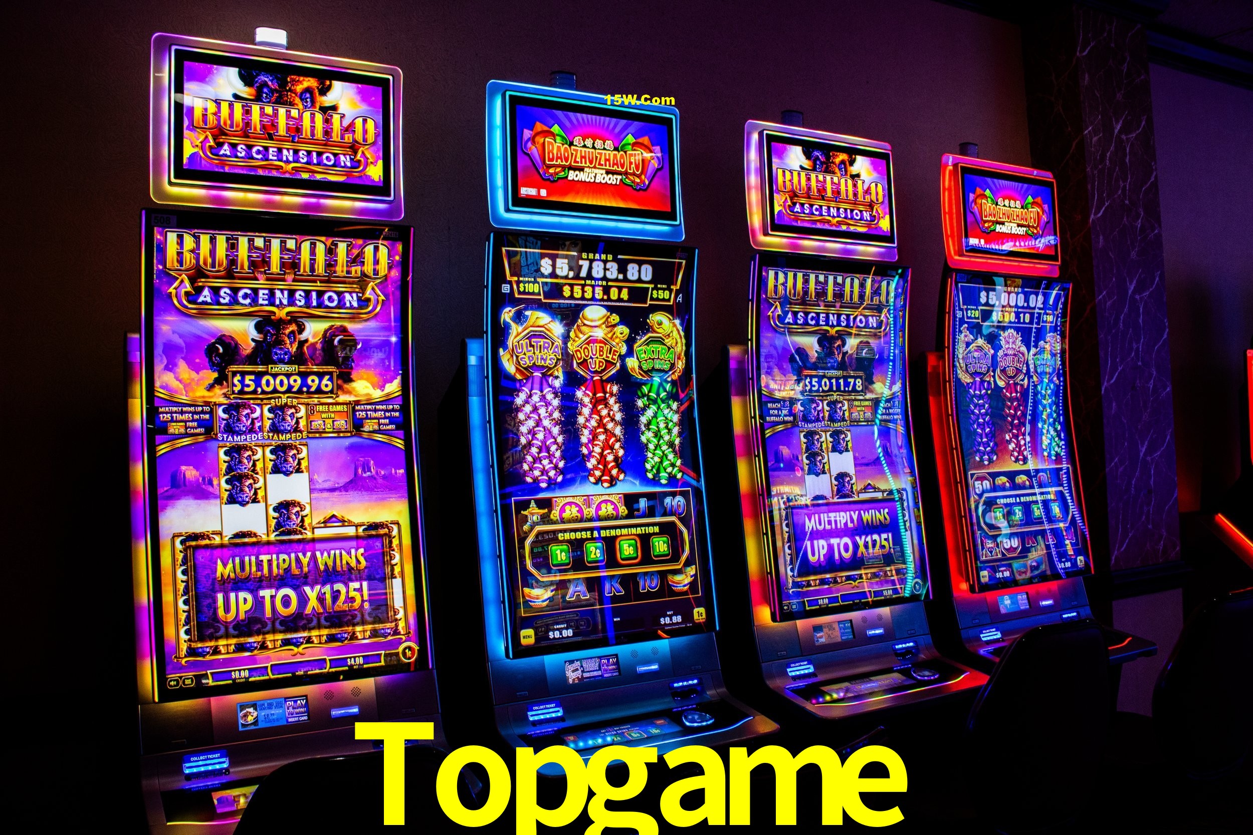 Experiência VIP Topgame