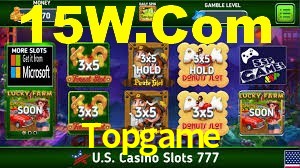 VIP Casino Topgame