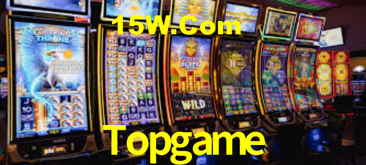 Interface Premium Topgame